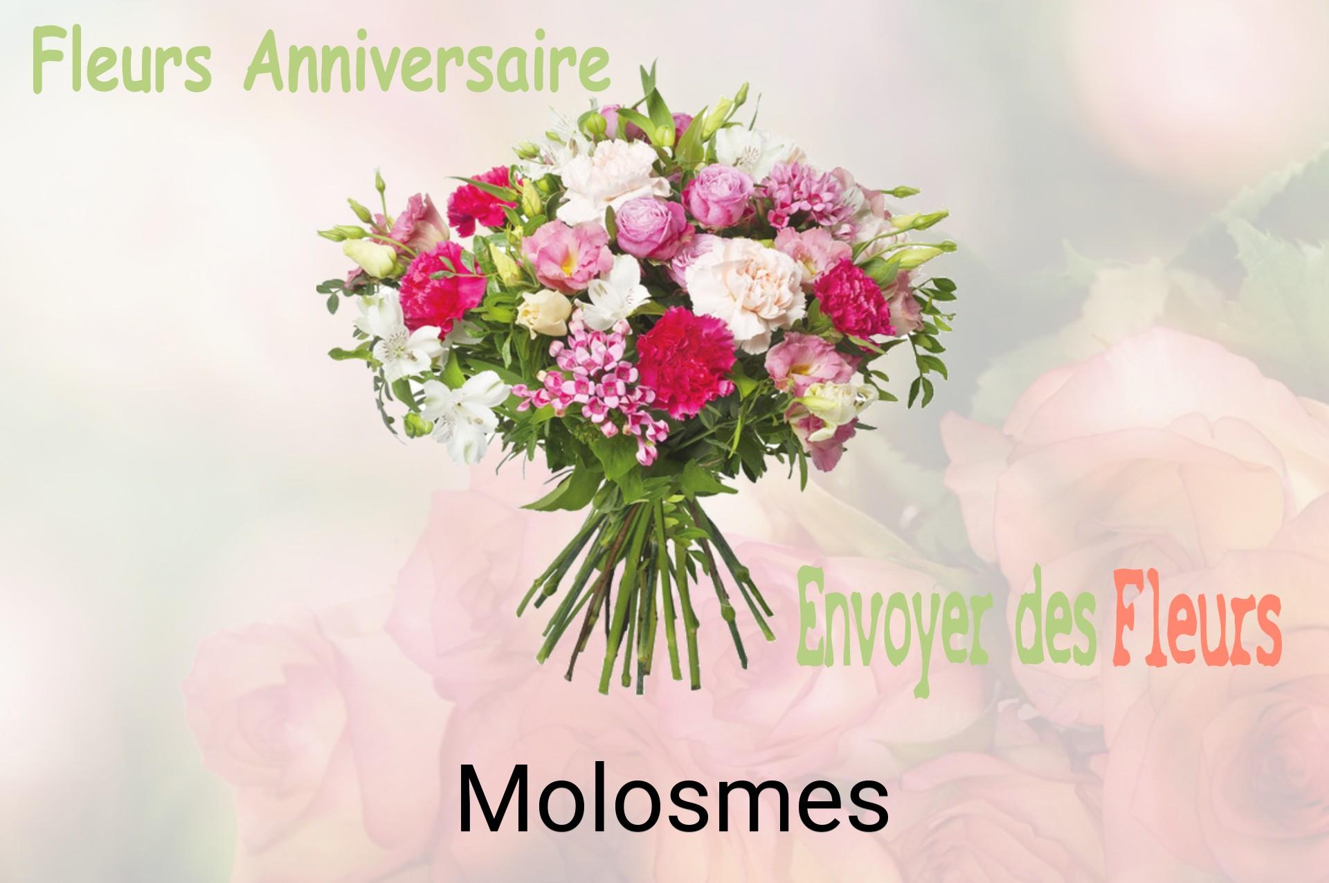 Bouquet de fleurs d’anniversaire livré à Molosmes