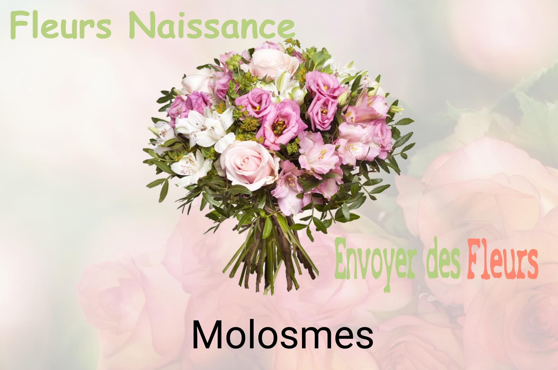 Bouquet de fleurs de naissance livré à Molosmes