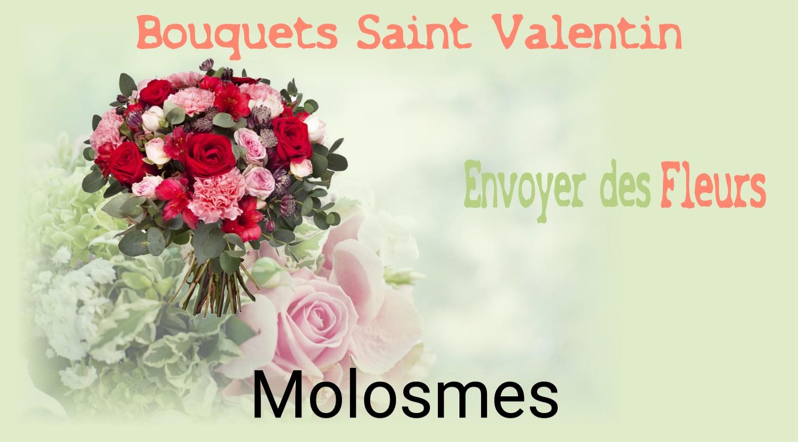 Roses de Saint-Valentin livrées à Molosmes