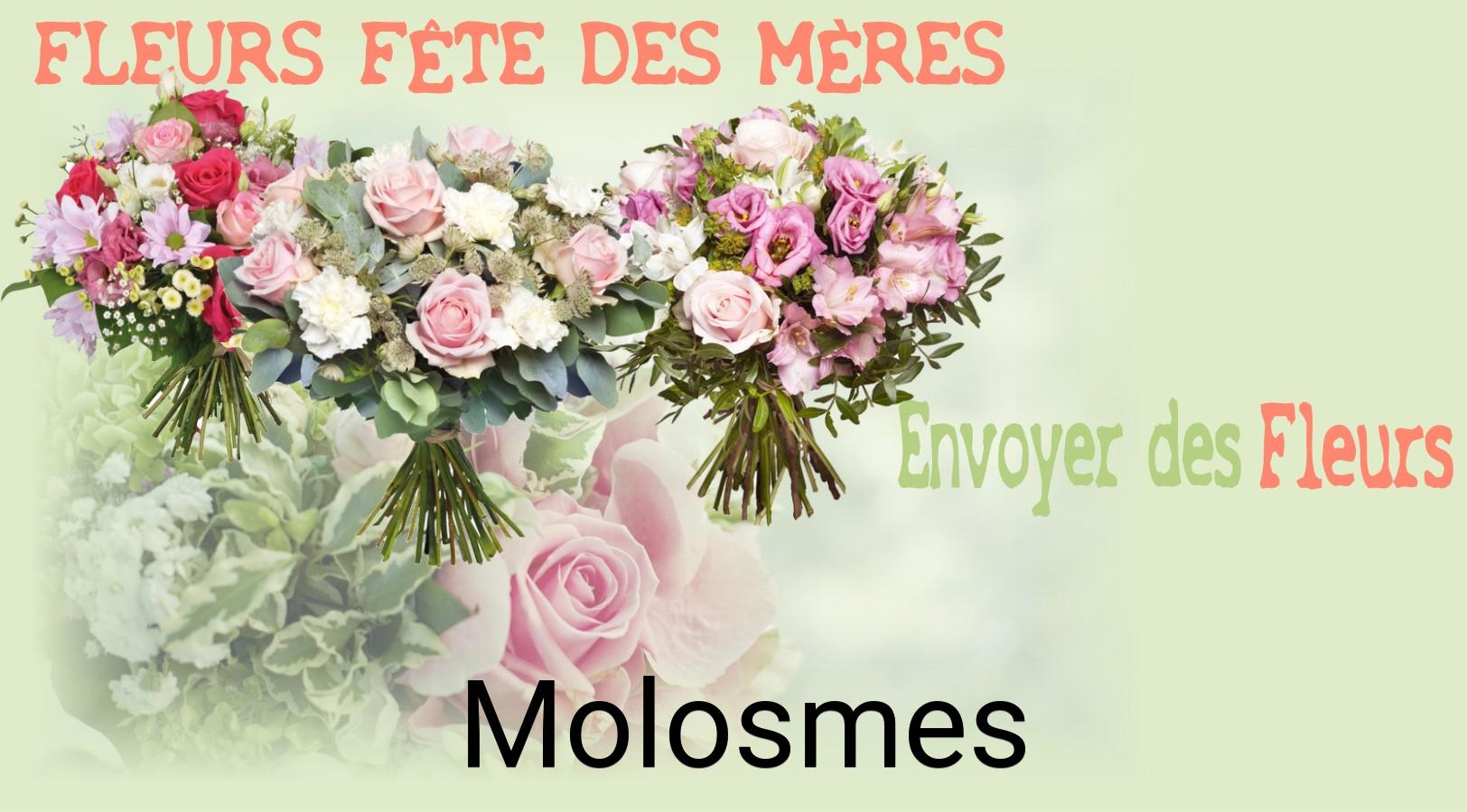 Bouquet de Fête des Mères livré à Molosmes